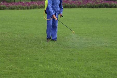Bugs Be Gone: How Insect Control Protects Your Memphis Landscape Thumbnail