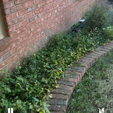 Landscape-Renovation-Budget-Friendly 8