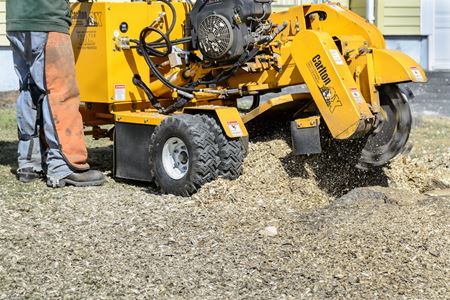 Stump Grinding Thumbnail